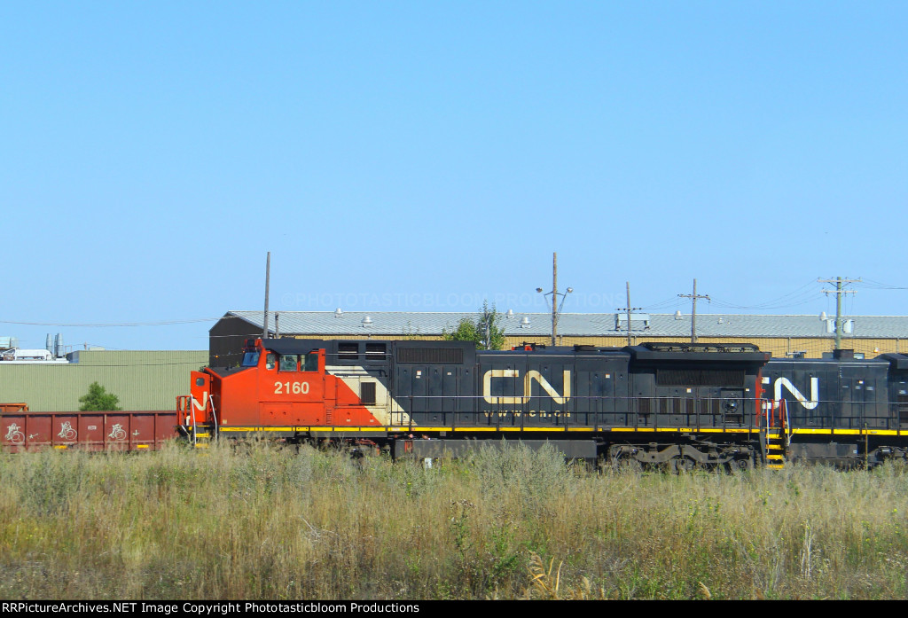 CN 2169